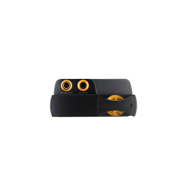 PAW GT2 - Image 10
