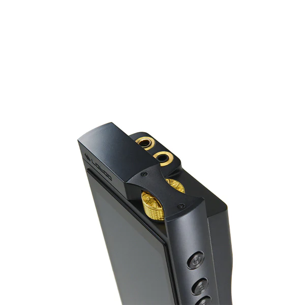 PAW GT2 - Image 4