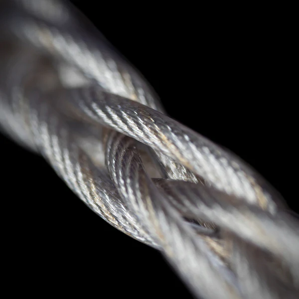 Leonidas Z Master Edition 8-Wire(ConX to 4.4mm) - Image 9
